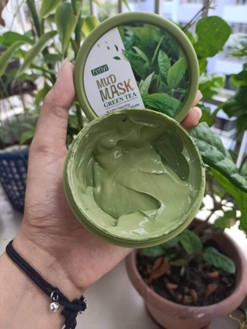 FENYI Green Tea Cleaning Mud Mask 100g