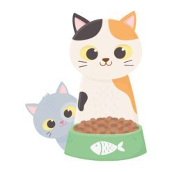 Cat Food